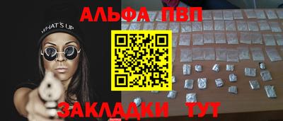 кокс Кингисепп