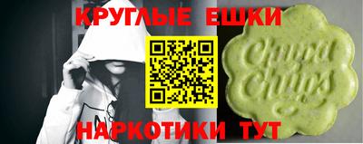 кокс Кингисепп