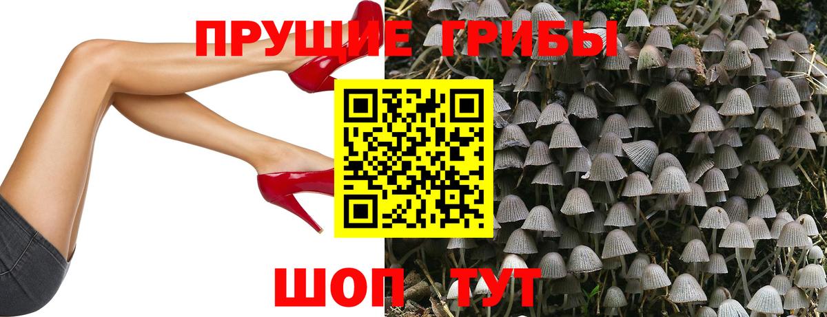 Галлюциногенные грибы ЛСД Королёв