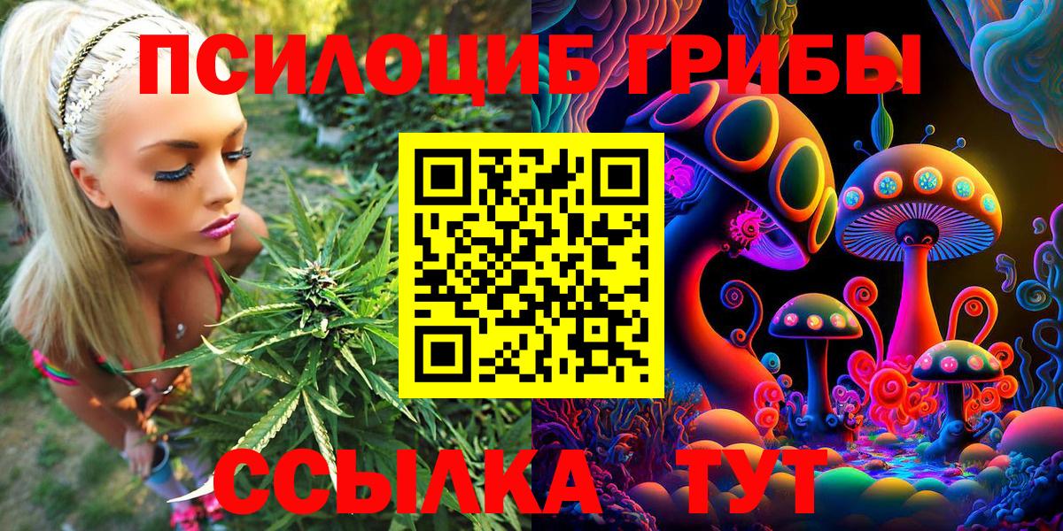 Псилоцибиновые грибы GOLDEN TEACHER  Вход с VPN  Королёв 